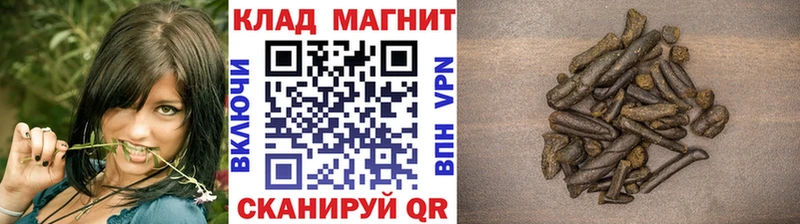 Купить наркотик Белоозёрский Конопля  Cocaine  МЕФ 