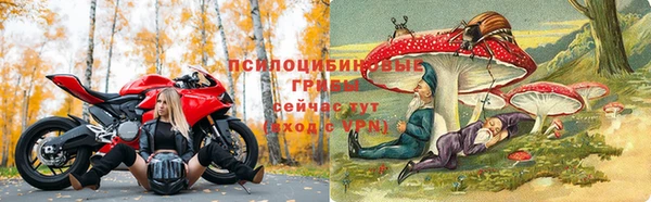 a pvp Алексеевка