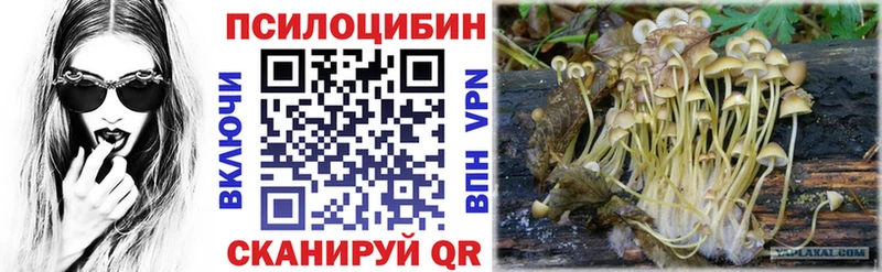 Псилоцибиновые грибы Magic Shrooms  Белоозёрский 