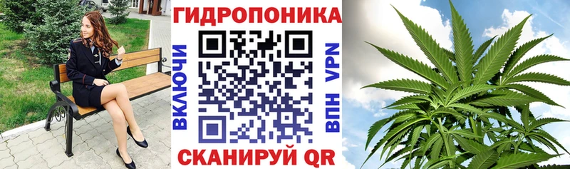 Шишки марихуана MAZAR  где можно купить   Белоозёрский 